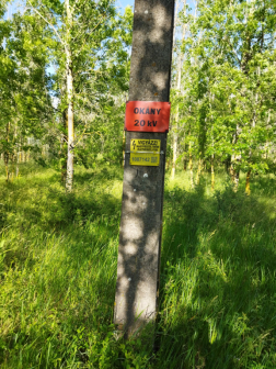 Katasztrófavédelem