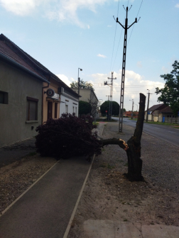 Katasztrófavédelem