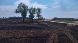 Katasztrófavédelem