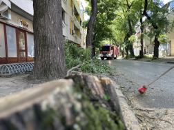 Katasztrófavédelem