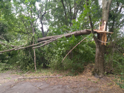 Katasztrófavédelem