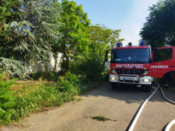Katasztrófavédelem