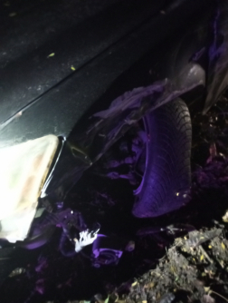 Katasztrófavédelem