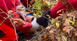 Katasztrófavédelem