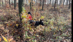 Katasztrófavédelem