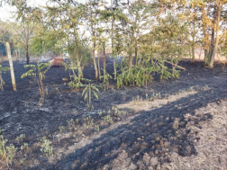 5,